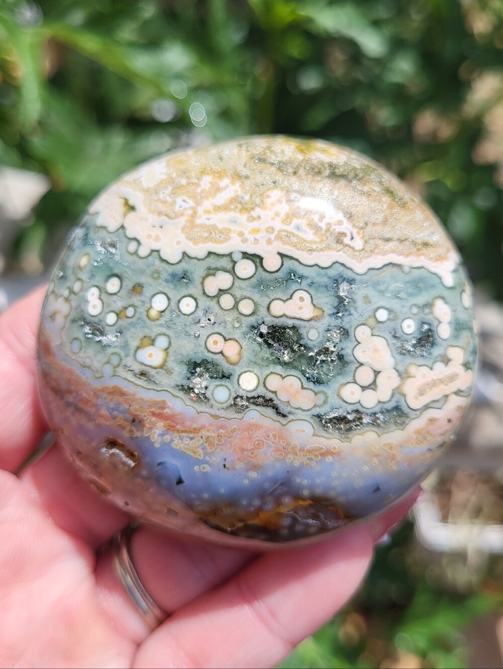 Ocean Jasper Palm